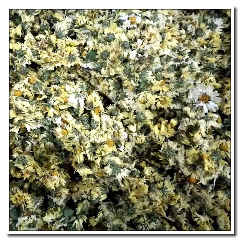 杭白菊烘干機(jī)